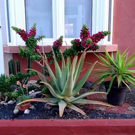Duplex Aloe كوستا دي أنتيجوا