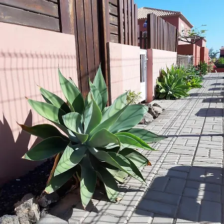 Apartment Duplex Aloe *
